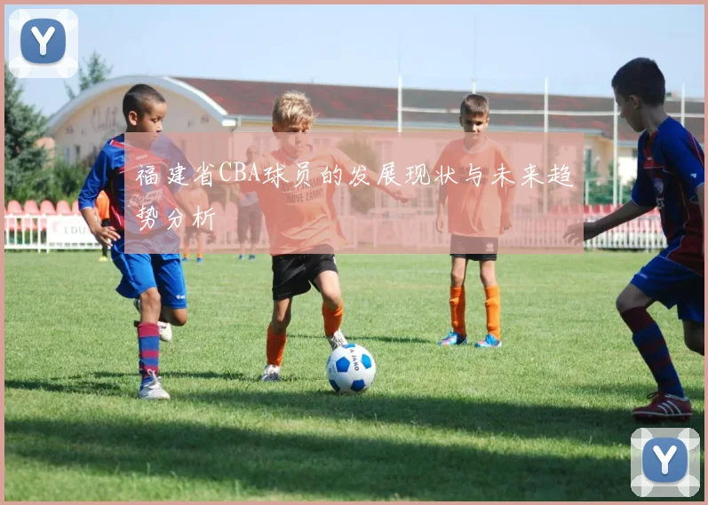 福建省CBA球员的发展现状与未来趋势分析