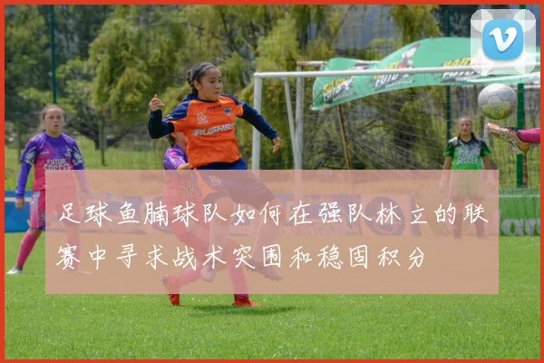 足球鱼腩球队如何在强队林立的联赛中寻求战术突围和稳固积分
