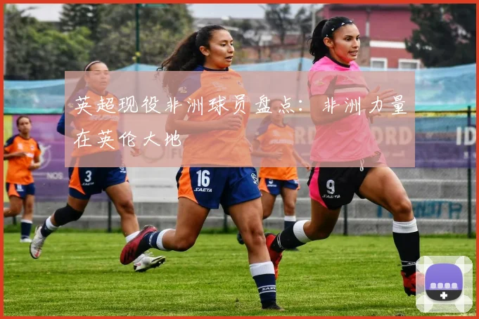 英超现役非洲球员盘点：非洲力量在英伦大地