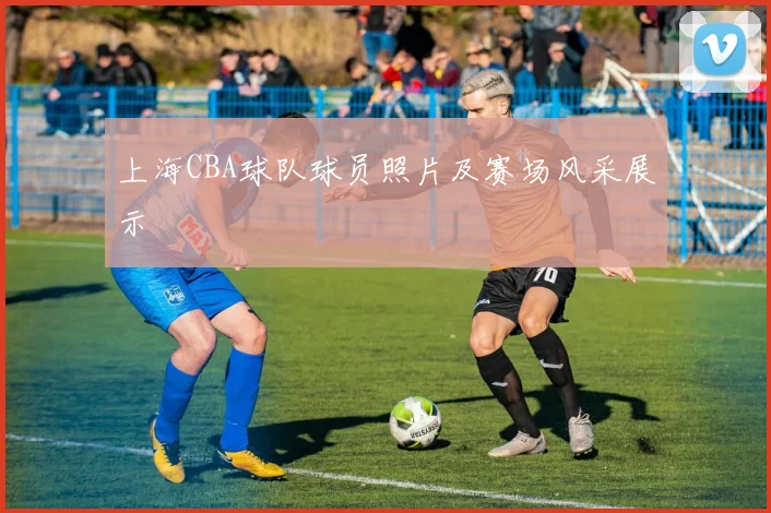 上海CBA球队球员照片及赛场风采展示