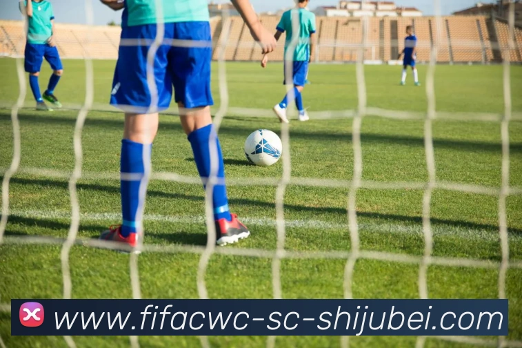 世界杯直播平台生态图