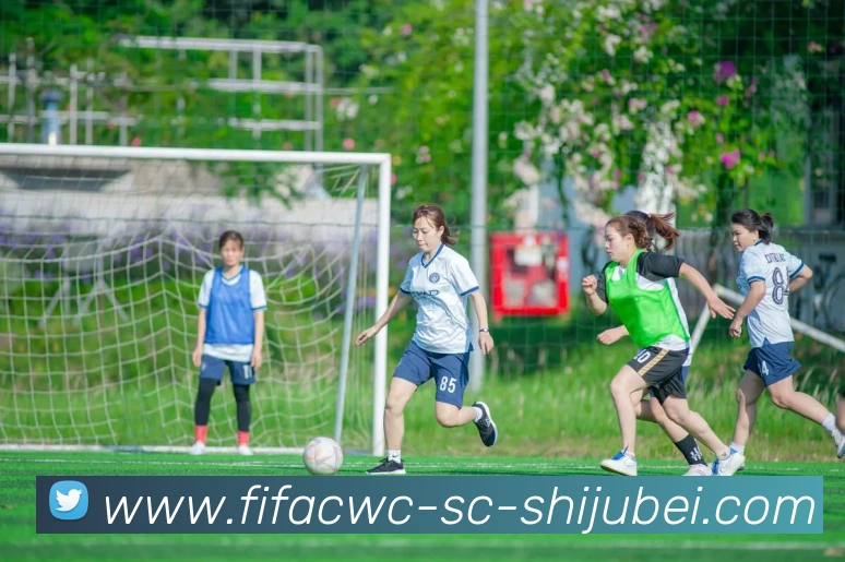 辅助工具 辅助工具