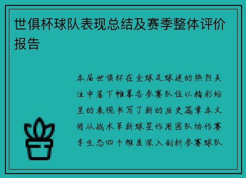 世俱杯球队表现总结及赛季整体评价报告
